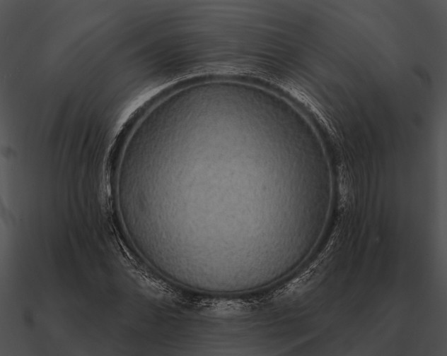 X0000090711070200708031428