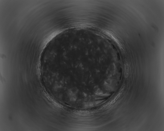 X0000090711071200708031428