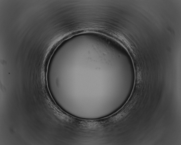 X0000090711072200708031428