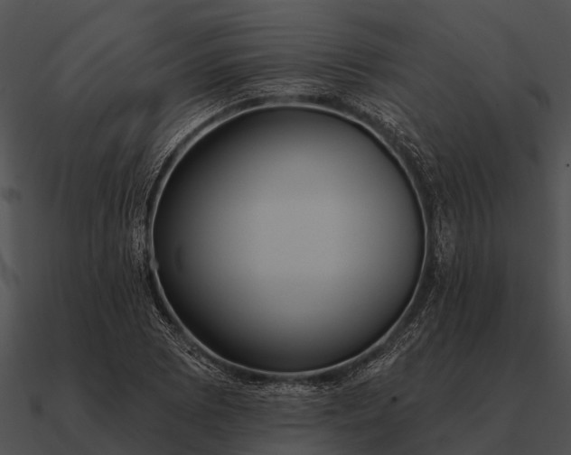 X0000090711073200708031428