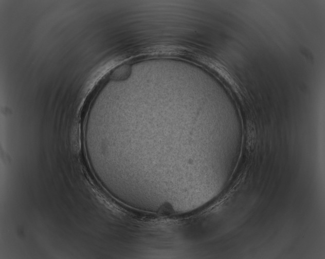 X0000090711075200708031428