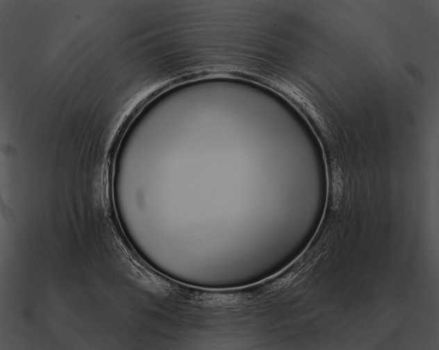 X0000090711076200708031428