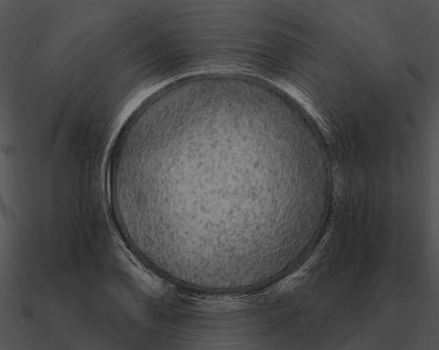 X0000090711078200708031428