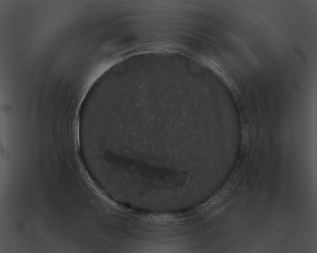 X0000090711079200708031428