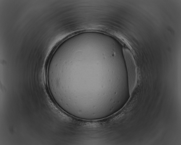 X0000090711080200708031428