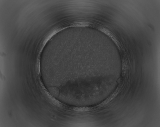 X0000090711083200708031428