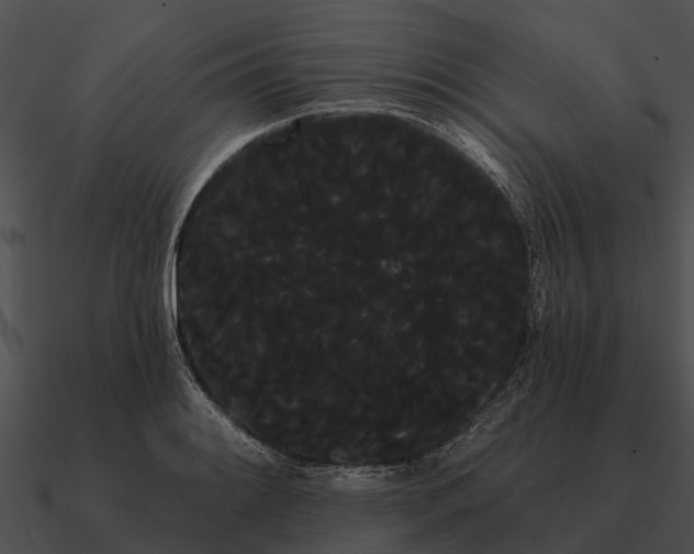 X0000090711084200708031428