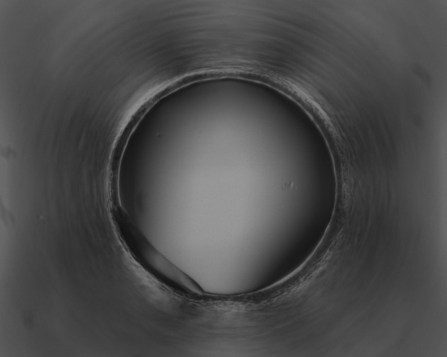 X0000090711085200708031428