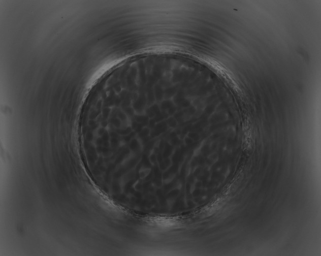 X0000090711086200708031428