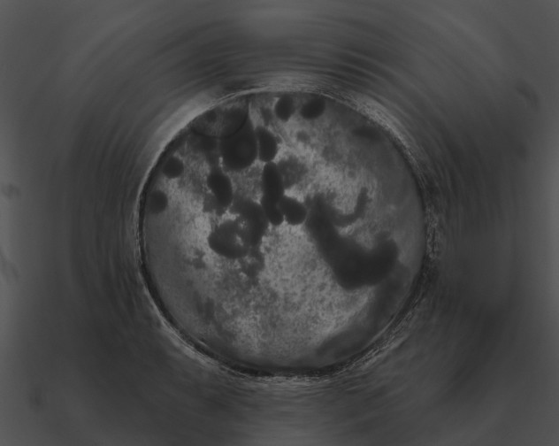 X0000090711087200708031428