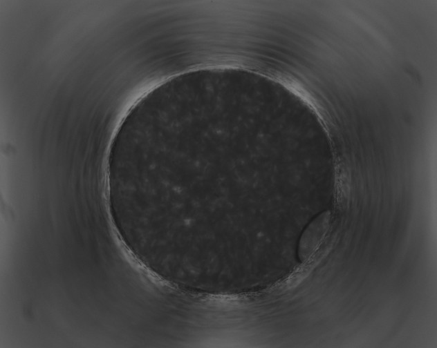 X0000090711088200708031428