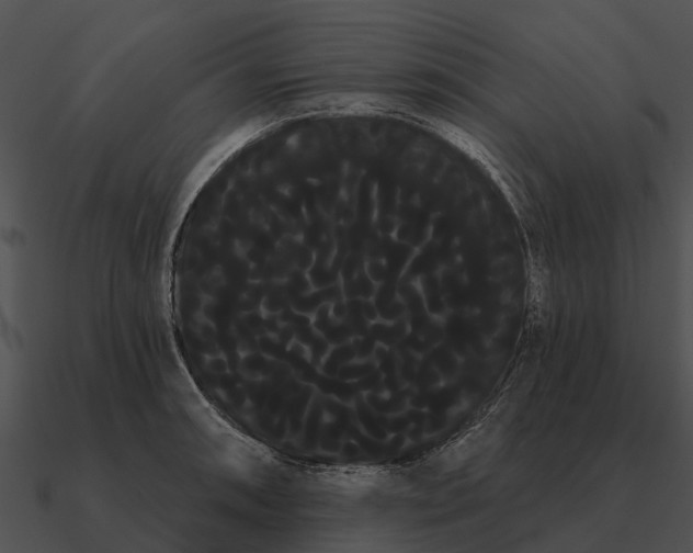 X0000090711090200708031428