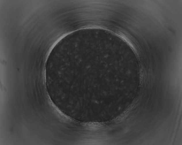 X0000090711092200708031428