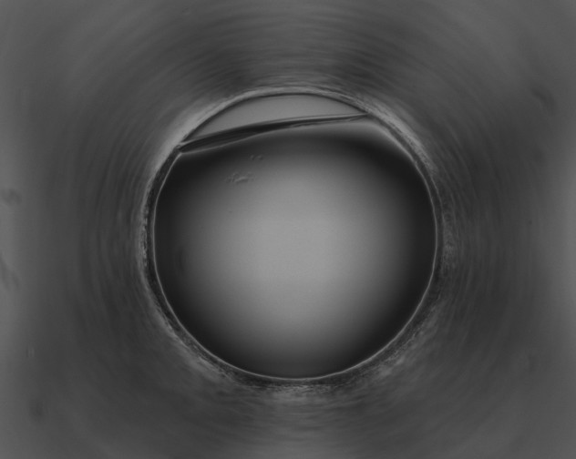 X0000090711093200708031428