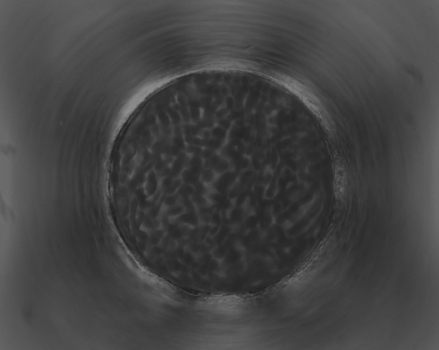 X0000090711094200708031428