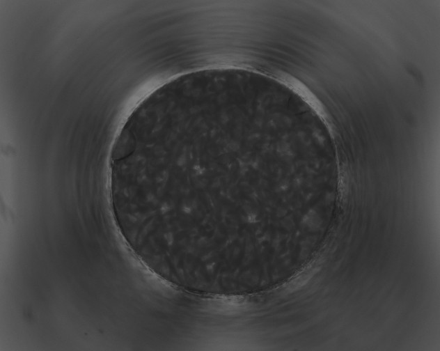 X0000090711096200708031428