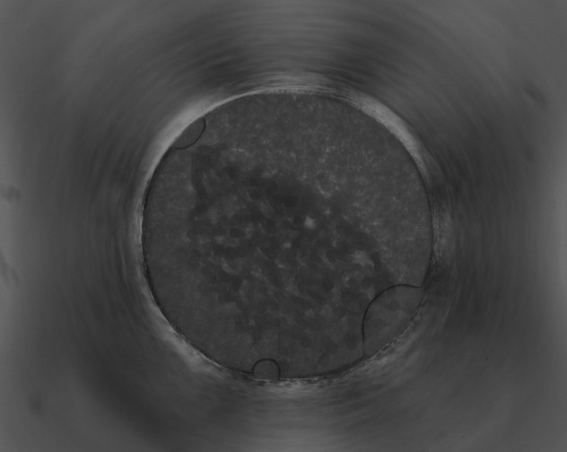 X0000090711099200708031428