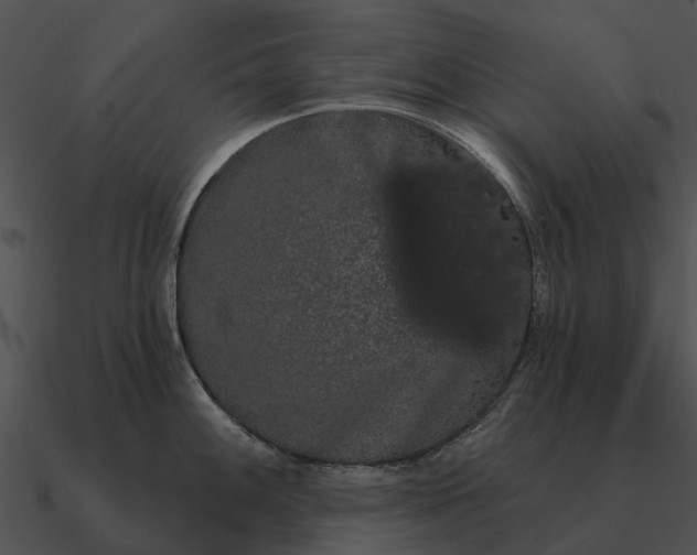 X0000090711100200708031428