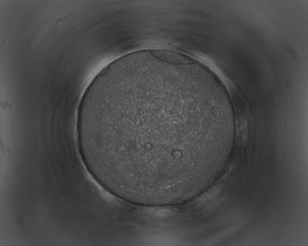 X0000090711103200708031428