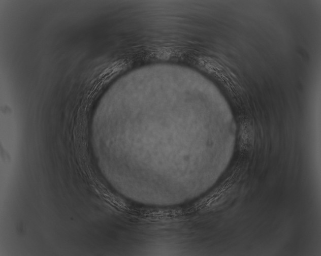 X0000090711105200708031427