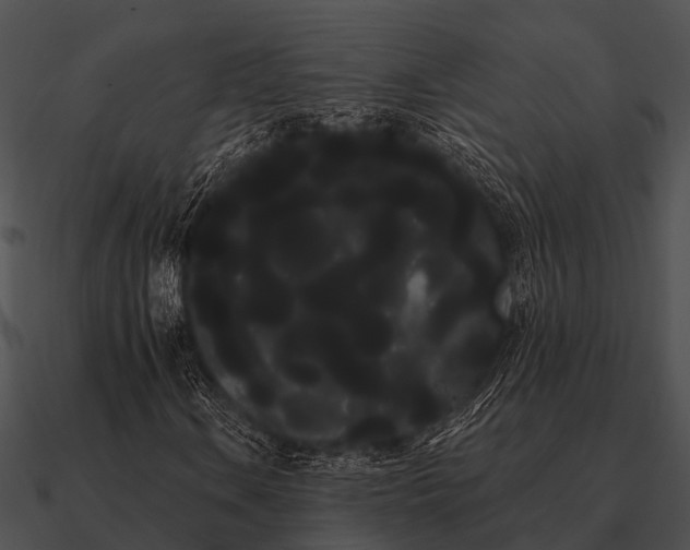 X0000090711106200708031427