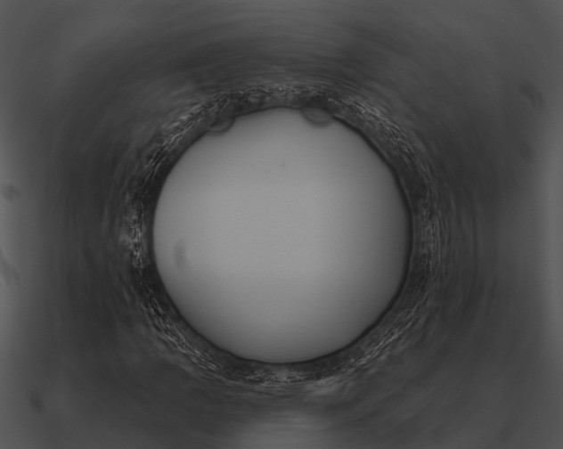 X0000090711109200708031427