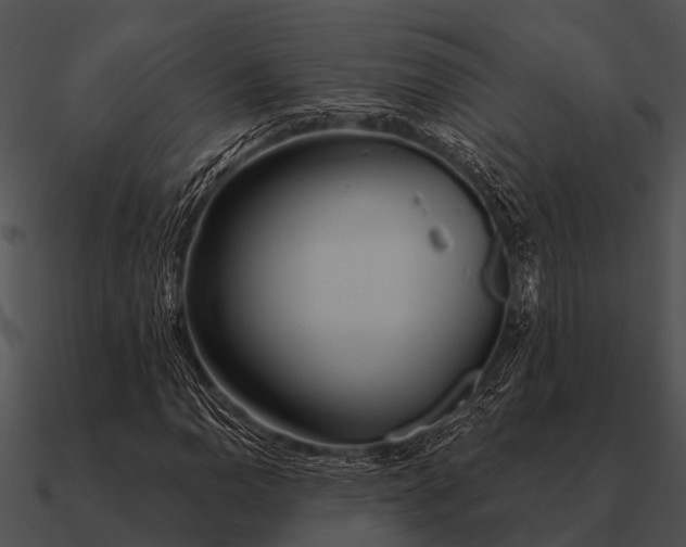 X0000090711110200708031427