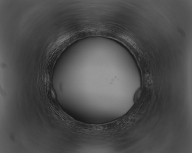 X0000090711111200708031427