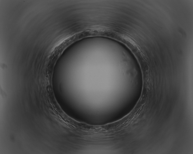 X0000090711112200708031427