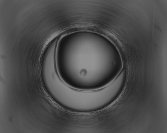 X0000090711114200708031427