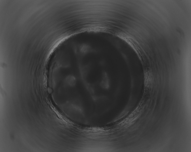 X0000090711115200708031427