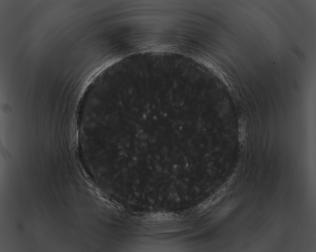 X0000090711117200708031427