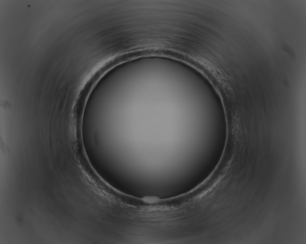 X0000090711118200708031427