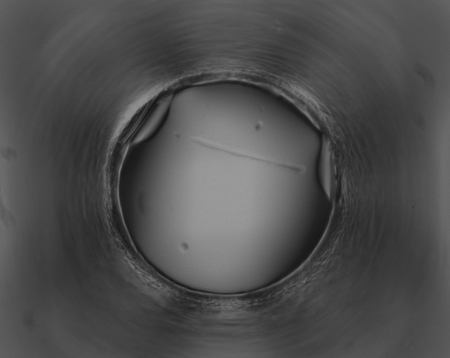 X0000090711120200708031427