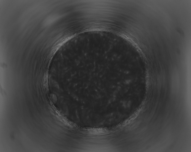 X0000090711121200708031427