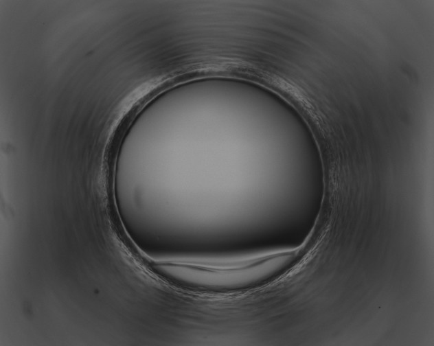 X0000090711122200708031427