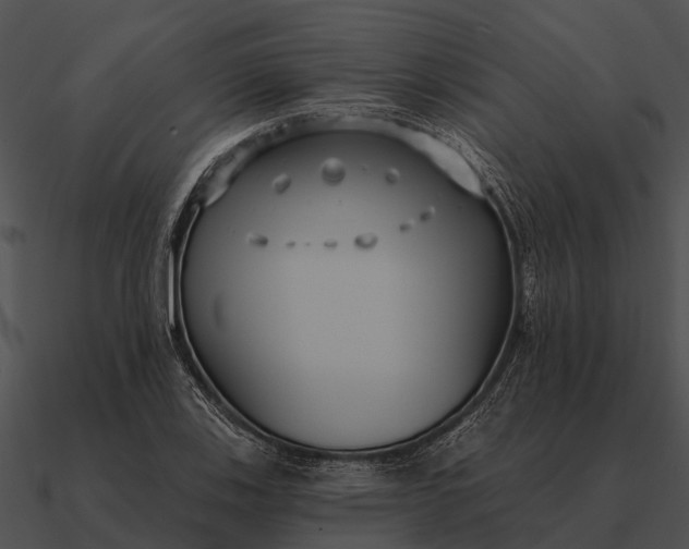 X0000090711123200708031427