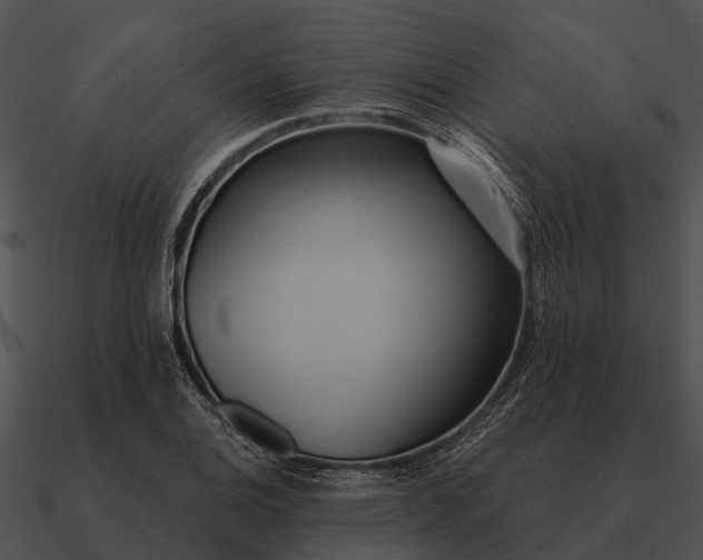 X0000090711124200708031428