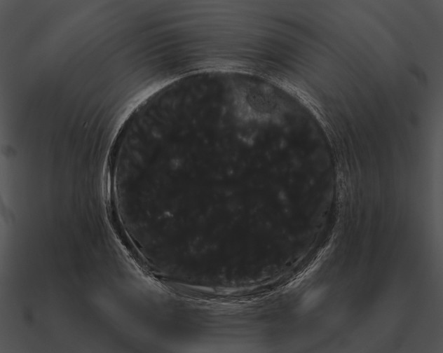 X0000090711125200708031428