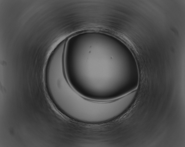 X0000090711128200708031428