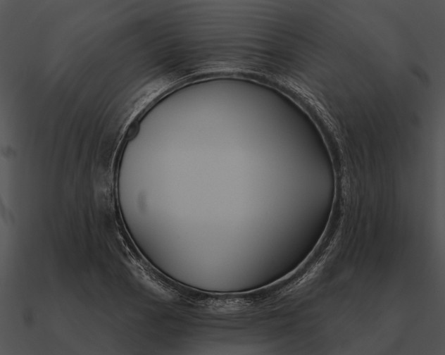 X0000090711129200708031428