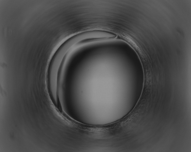 X0000090711132200708031428