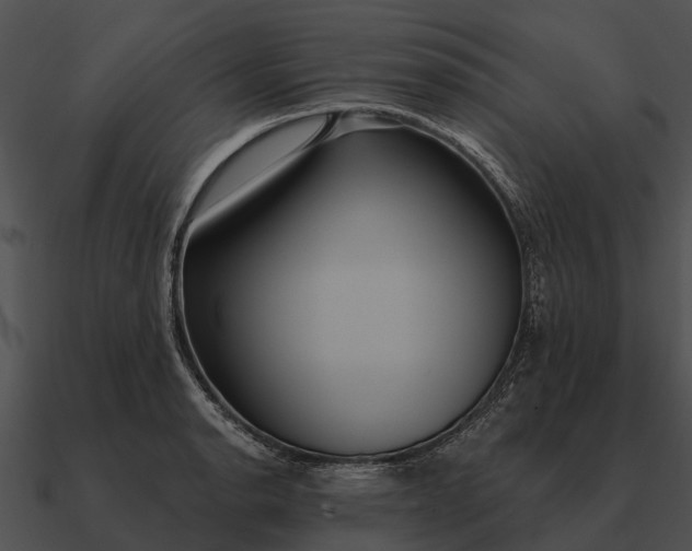 X0000090711134200708031428