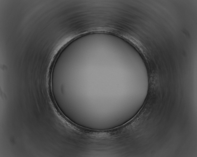 X0000090711135200708031428