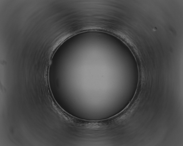 X0000090711137200708031428