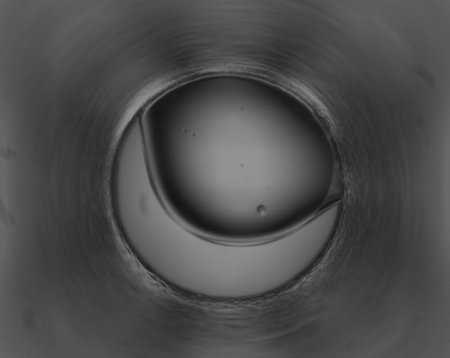 X0000090711138200708031428