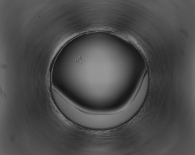 X0000090711140200708031428