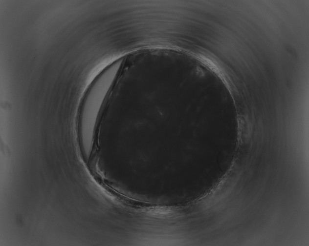 X0000090711141200708031428