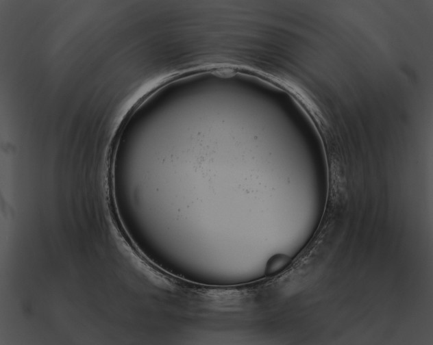 X0000090711142200708031428