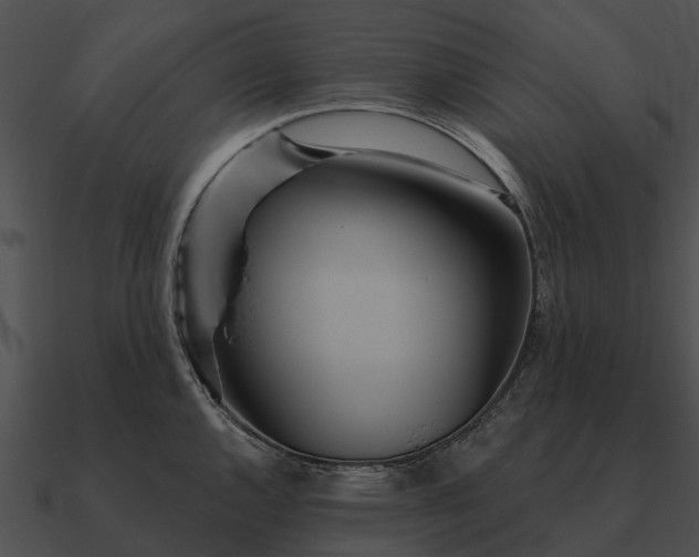 X0000090711144200708031428